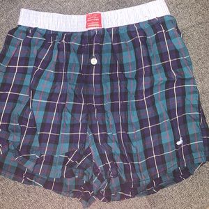 southern marsh boxers